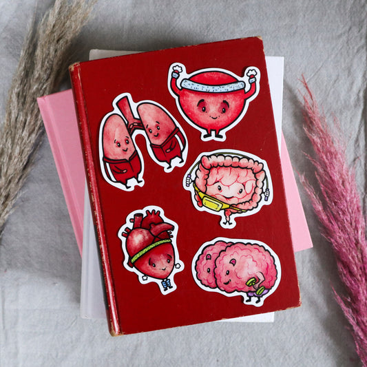 Anatomy Stickers